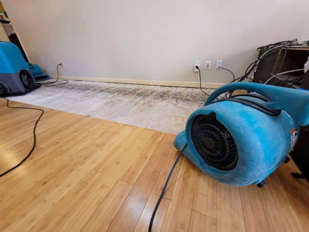 Professional Structural Drying technician working in Black Mountain, NC